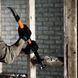 Інструмент для зносу Fiskars IsoCore (L) 1027221