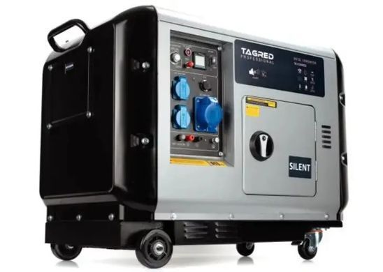 Дизельний генератор 10 кВт Tagred TA10300DS