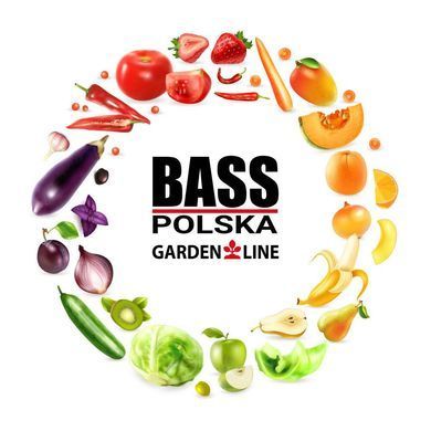Садова теплиця з полікарбонату 3,15 х 1,9 х 1,83 м Bass Polska 85952