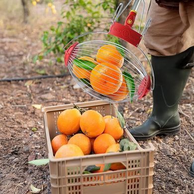 Сборщик для фруктов Wolf Garten с ясеневым держаком Fc-M/Zm 140