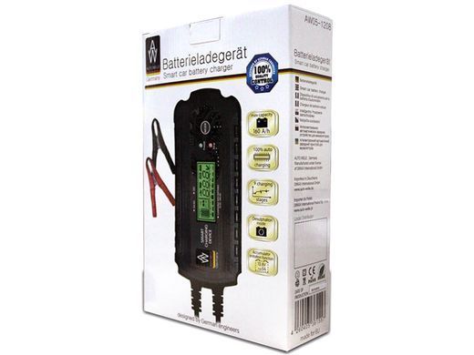 Електронний випрямляч Auto Welle 12V 160A/H