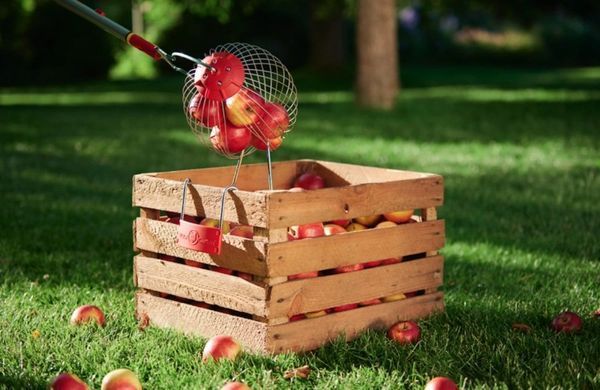Сборщик для фруктов Wolf Garten с ясеневым держаком Fc-M/Zm 140
