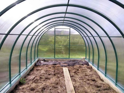 Садова полікарбонатна теплиця 6 мм CEPRA 3 x 8 м Cultivo