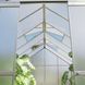 Теплиця Focus Garden Cultivo Gramen 244x370 см Темно-зелена