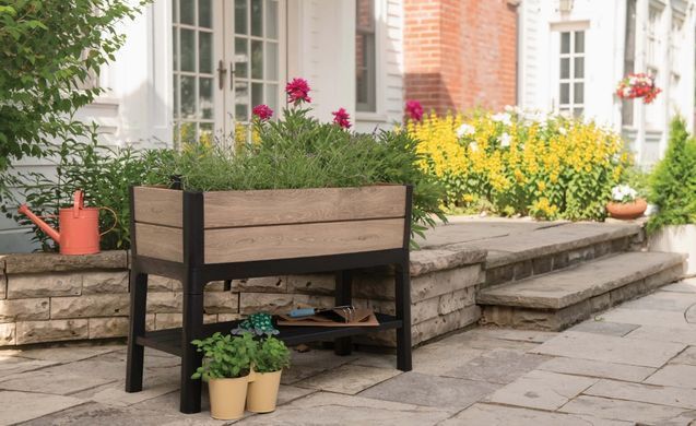 Ящик для вирощування рослин DECO Ashwood з автополивом Keter