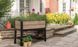 Ящик для вирощування рослин DECO Ashwood з автополивом Keter