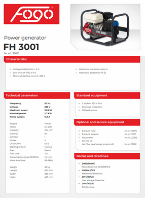 Генератор бензиновый 3 кВт Fogo FH3001