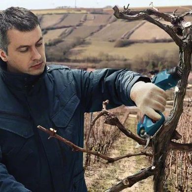 BOSCH СЕКАТОР 12V PRO PRUNER 25mm 2x3,0Ah