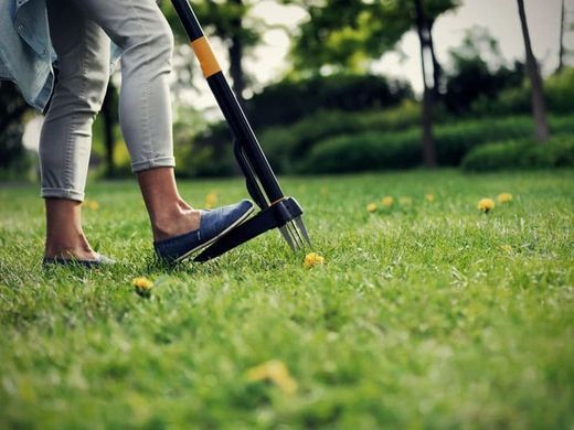 Інструмент для видалення бур'янів Fiskars Xact