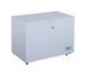 Морозильная камера Beko CF316WN