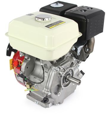 Двигун ДВЗ 9 HP/25 мм Mar-Pol M79896