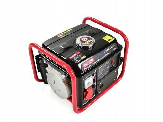 Генератор електичного струму 2 к.с Tvardy 720W T05001
