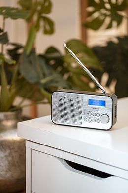Радиочасы - FM/DAB/DAB + цифровое радио Camry CR 1179