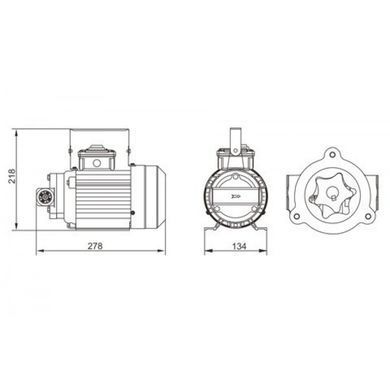 Насос маслоперекачивающий Rewolt 220В (RE SL70-E)
