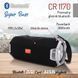 Портативный динамик bluetooth Camry CR 1170