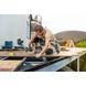 Ударний гайковерт Bosch Professional GDR 18V-200 C SOLO