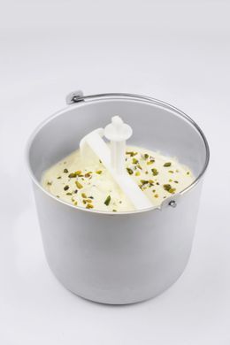 Морожениця-йогуртниця 2в1 CASO IceCreamer