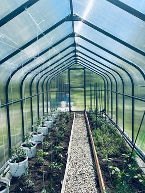 Теплиця алюмінієва PTF Tomato Premium Plus 250x600 см зелений
