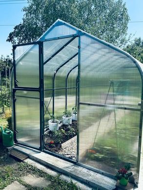 Теплиця алюмінієва PTF Tomato Premium Plus 250x600 см зелений