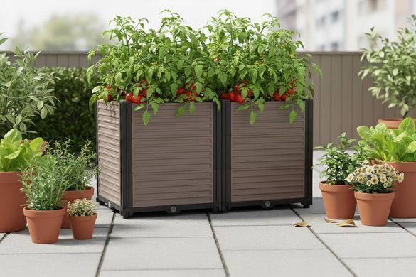 Скриня для вирощування рослин GROW BOX PLUS M&nbsp;пластикова CULTIVO