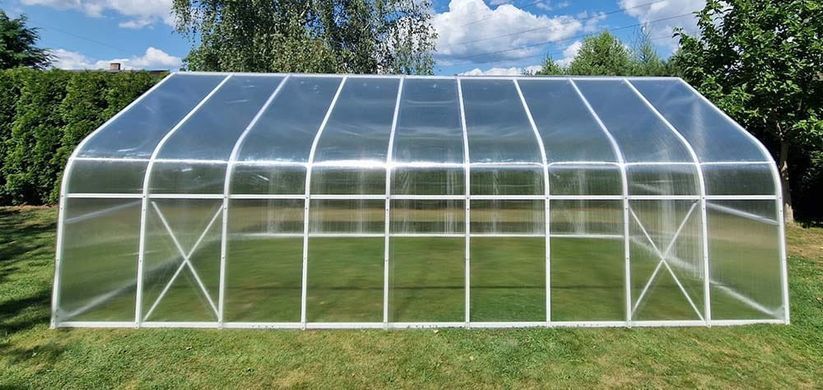 Теплица из поликарбоната PTF Cucumber Premium Plus 300х600 см зеленый