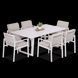Меблі з ротанга для тераси Furrore Lotus Dinnig 6+1